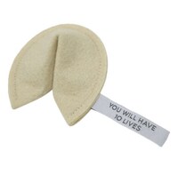 Fortune Cookie-Inspired Cat Toys Image 4