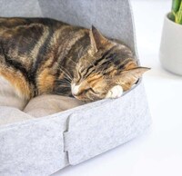 Origami-Like Pet Beds Image 1