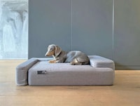 Comfy Sofa-Inspired Pet Beds