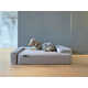 Comfy Sofa-Inspired Pet Beds Image 1