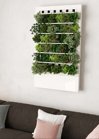 Wall-Mounted Hydroponic Gardens Image 4