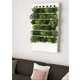 Wall-Mounted Hydroponic Gardens Image 4