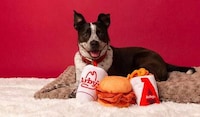 QSR Brand Pet Toys Image 1
