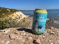 Californian Brewery Branding Image 3