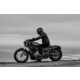 Water-Cooled Sportster Motorcycles Image 1