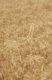 Minimalist Steel-Frame Seating Collections Image 2