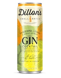 Ontario-Made Canned Gin Cocktails Image 5