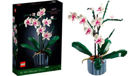 Botanical Building Block Sets