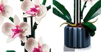 Botanical Building Block Sets Image 3