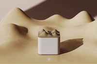 Animalistic Ceramic Smart Solutions Image 3