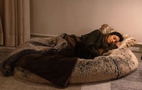 Human-Sized Dog Beds Image 1