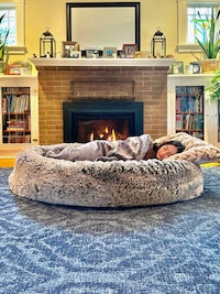 Human-Sized Dog Beds Image 5