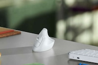 Contoured Ergonomics Mouses Image 4