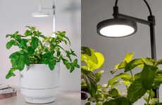 Posh Plant-Supporting Lamps