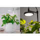 Posh Plant-Supporting Lamps Image 1