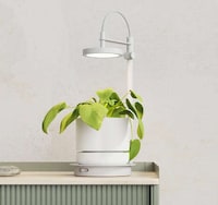 Posh Plant-Supporting Lamps Image 3
