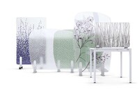 Biophilic Glass Partitions
