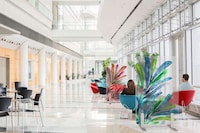 Biophilic Glass Partitions Image 2