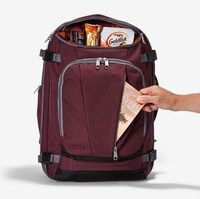 Capaciously Stylish Travel Backpacks Image 4