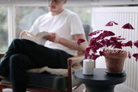Sensory Influence Smart Devices Image 6