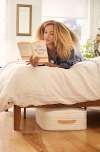 Lightweight Soft-Body Underbed Storage Image 5