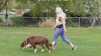 All-in-One Rotating Dog Leashes Image 5