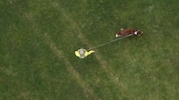 All-in-One Rotating Dog Leashes Image 6