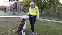 All-in-One Rotating Dog Leashes Image 7
