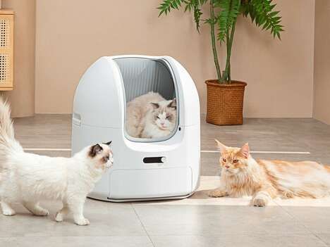 Oversized Automated Litter Boxes