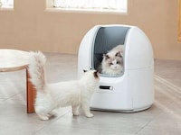 Oversized Automated Litter Boxes Image 2