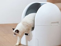 Oversized Automated Litter Boxes Image 3