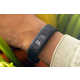 All-Day Wellness Wearable Trackers Image 1