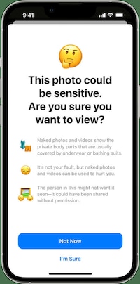 Automated Message Censoring Features Image 2
