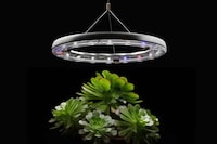 Haute Horticulturalist Systems Image 1