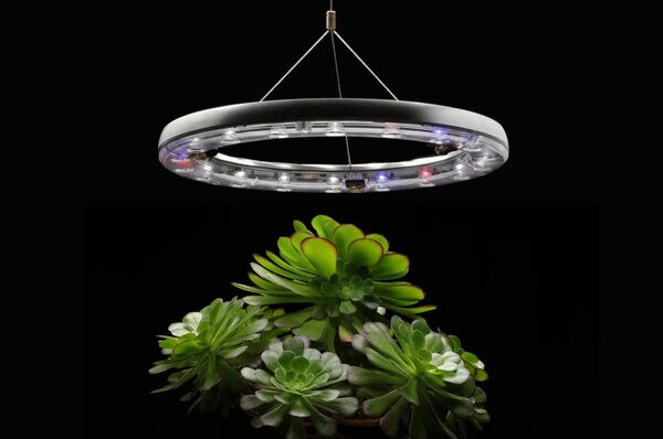 Haute Horticulturalist Systems