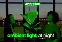 Haute Horticulturalist Systems Image 7