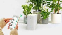 Connected Plant Hydration Systems