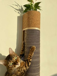 Contemporary Cat Furniture