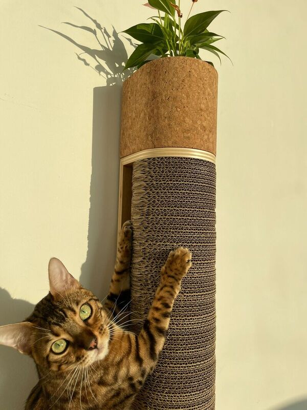 Contemporary Cat Furniture