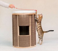 Contemporary Cat Furniture Image 2