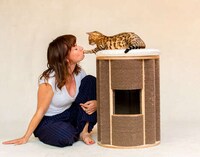 Contemporary Cat Furniture Image 5