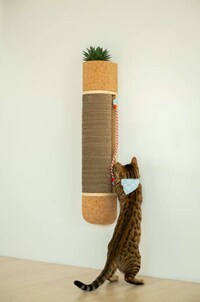 Contemporary Cat Furniture Image 6