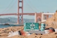 Trailblazing West Coast IPAs Image 2