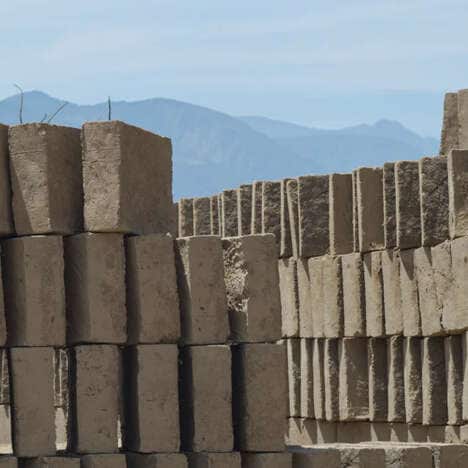 Celebrity-Backed Agave Bricks