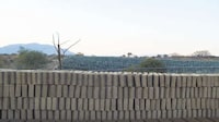 Celebrity-Backed Agave Bricks Image 6