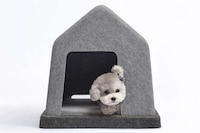 Ultra-Simple Unibody Dog Houses Image 6