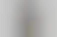 Bear-Adorned Streetwear