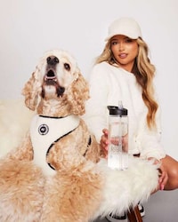 Modern Pet Apparel Image 2