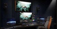 Professional-Grade OLED Monitors Image 2