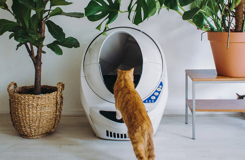 Elevated cat litter clearance box